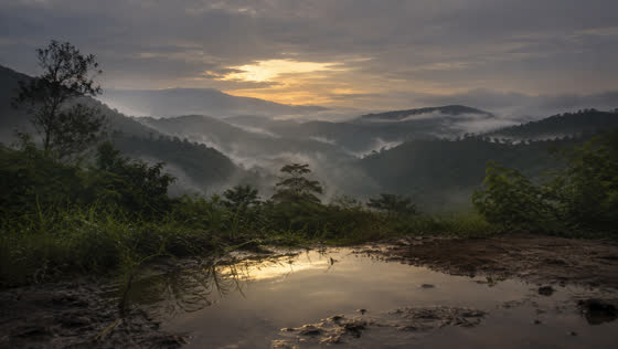Island Dawn